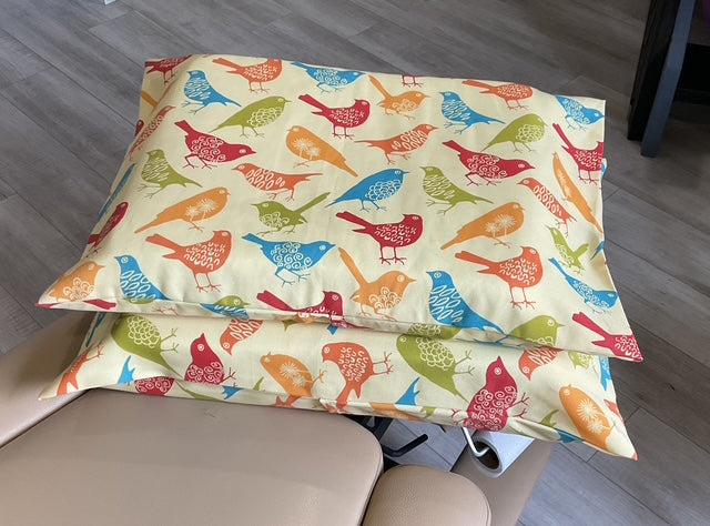 Covers ONLY - Pregnancy Pillow Set